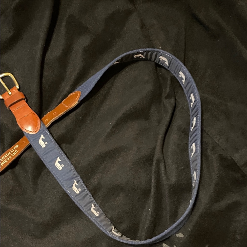 Elegant Brown and Blue Men's Belt - Picture 3 of 7